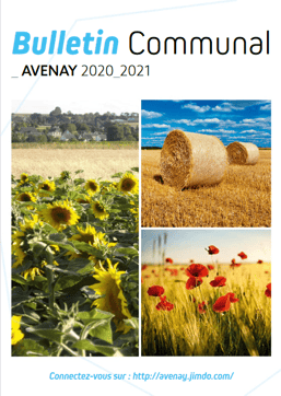 Image du Bulletin Mairie Avenay 2020-2021